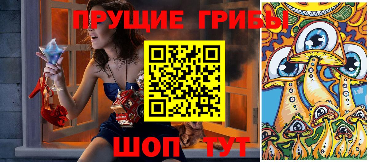 Галлюциногенные грибы Psilocybine cubensis Дагестанские Огни