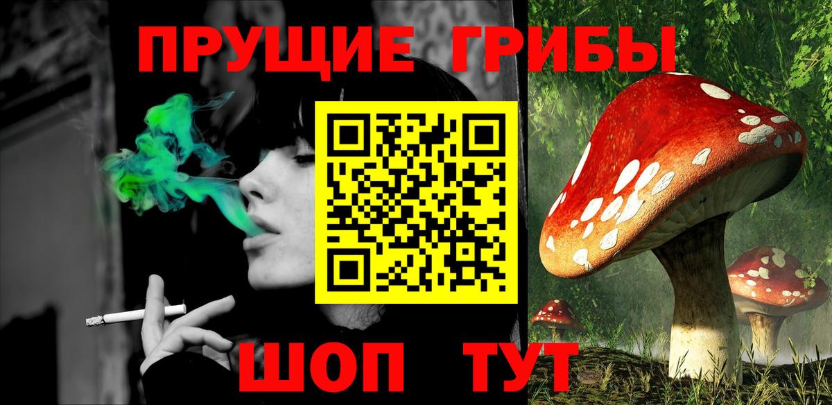 Псилоцибиновые грибы Psilocybe  Галлюциногенные грибы ЛСД  Вход с VPN  Дагестанские Огни 